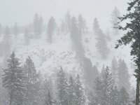 20221223_085010.jpg 20221223_085010.jpg