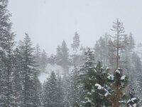 20221223_091004.jpg 20221223_091004.jpg