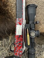 IMG_1128.jpeg IMG_1128.jpeg