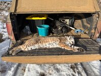 IMG_5985.jpeg IMG_5985.jpeg