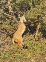 IMG_5981.jpeg IMG_5981.jpeg