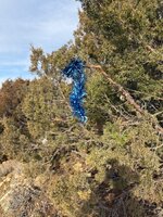 IMG_5982.jpeg IMG_5982.jpeg