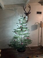 IMG_6695.jpeg IMG_6695.jpeg