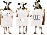 Screenshot 2025-12-17 080228.png