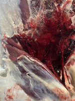 IMG_9591.jpeg IMG_9591.jpeg