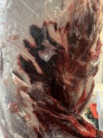 IMG_9589.jpeg IMG_9589.jpeg