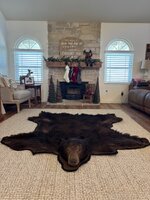 IMG_9747.jpeg IMG_9747.jpeg