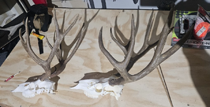 1766008044508.png 1766008044508.png