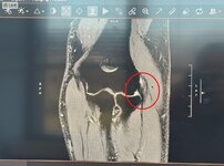 Screenshot 2025-12-17 160042.jpg