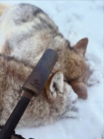 946EAF15-D8E7-425B-B26C-79011D52277A.jpeg 946EAF15-D8E7-425B-B26C-79011D52277A.jpeg