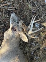 IMG_4864.jpeg IMG_4864.jpeg