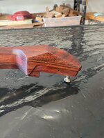 IMG_8928.jpeg IMG_8928.jpeg