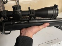 IMG_2618.jpeg IMG_2618.jpeg