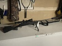 IMG_2620.jpeg IMG_2620.jpeg