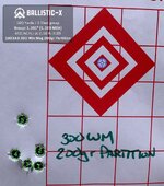 Ballistic-X-Export-2025-07-20 12:57:41.385351.jpg