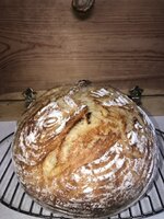 IMG_1558.jpeg IMG_1558.jpeg