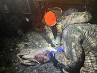 1766549479065.jpeg 1766549479065.jpeg