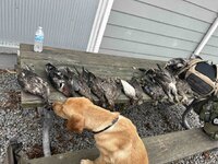 1766553519162.jpeg 1766553519162.jpeg