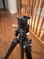 IMG_3046.jpeg IMG_3046.jpeg