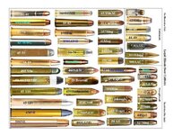 IMG_1449.jpeg IMG_1449.jpeg