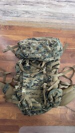 IMG_2204.jpeg IMG_2204.jpeg