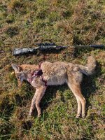 PXL_20251108_160743422.jpg PXL_20251108_160743422.jpg