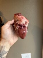 IMG_2558 (Small).jpg