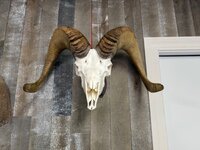 IMG_6302.jpeg IMG_6302.jpeg