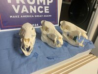 IMG_4873.jpeg IMG_4873.jpeg