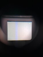 IMG_1097.JPEG