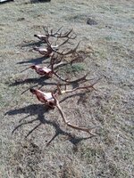 1000001334.jpg 1000001334.jpg