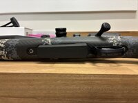 IMG_8526.jpeg IMG_8526.jpeg