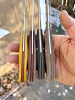 IMG_2305.jpeg IMG_2305.jpeg