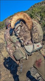 PXL_20241007_000339331.RAW-01.COVER a.jpg