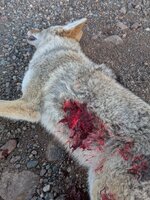 1000004512.jpg 1000004512.jpg