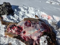 20251229_123522.jpg 20251229_123522.jpg