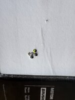 IMG_1311.jpeg IMG_1311.jpeg