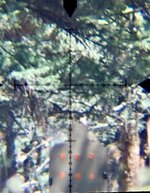 1767157469239.jpeg 1767157469239.jpeg