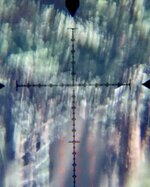 1767157574799.jpeg 1767157574799.jpeg