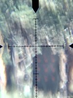 1767157643328.jpeg 1767157643328.jpeg