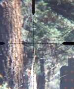 1767157806504.jpeg 1767157806504.jpeg