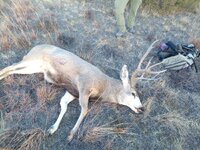 IMG_20251106_085045_235.jpg IMG_20251106_085045_235.jpg