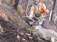 IMG_20251120_133710_248.jpg IMG_20251120_133710_248.jpg