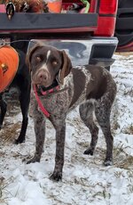 20251130_183950.jpg 20251130_183950.jpg