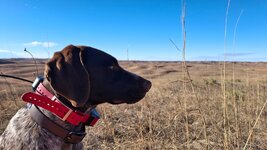 20251220_123140.jpg 20251220_123140.jpg