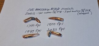 105 Hornady bullet test.jpg