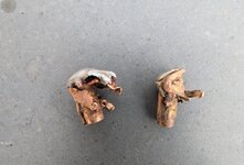 PXL_20260101_183022226.MP.jpg PXL_20260101_183022226.MP.jpg