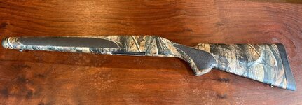 IMG_3359.jpeg IMG_3359.jpeg