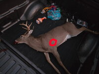 1000007028.jpg 1000007028.jpg