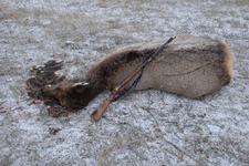 1000010673.png 1000010673.png